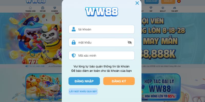 Nhập các thông tin thật chuẩn xác