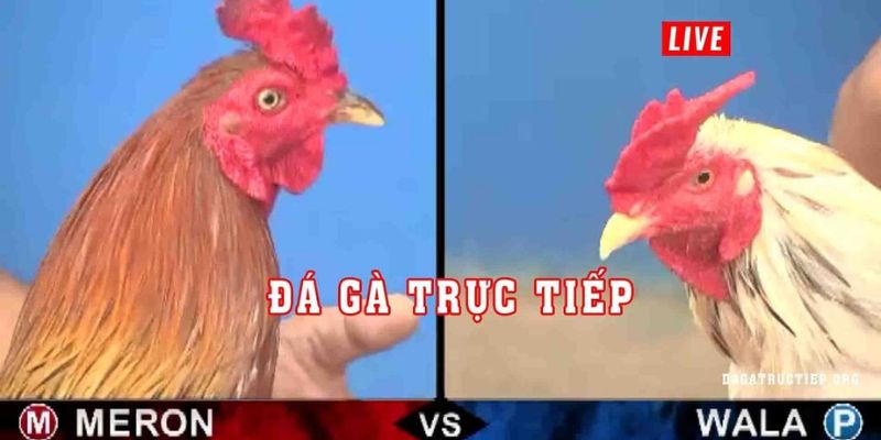 Các chiến kê phải đáp ứng đủ nhiều điều kiện